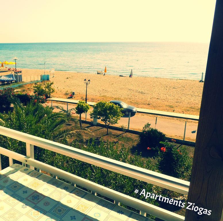 Apartments Ziogas Paralía Skotínis المظهر الخارجي الصورة